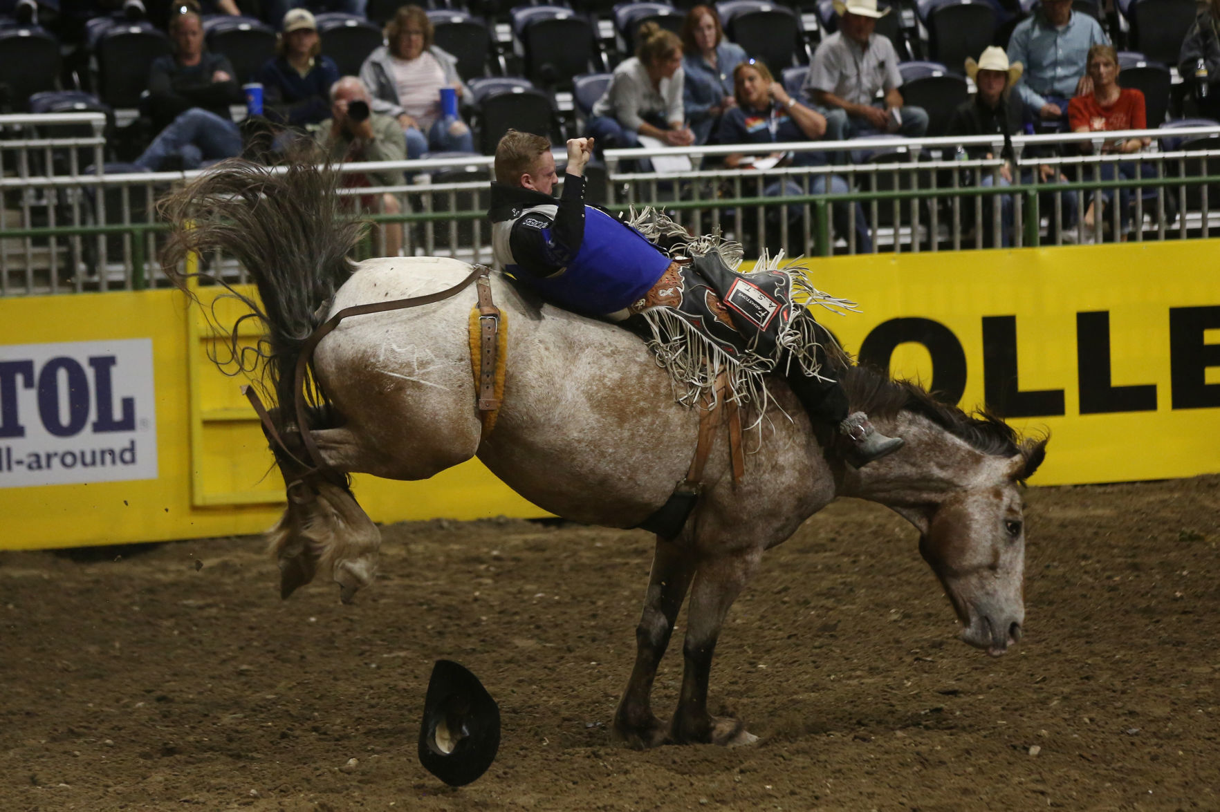 CNFR